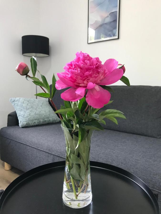 Apartman Na Kopci Krucemburk Buitenkant foto